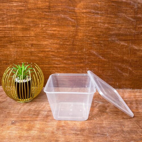 1000ML DEEP TRANSPARENT SQUARE FOOD PACK