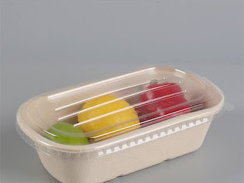 1000ML RECTANGULAR BAGASSE FOOD PACK
