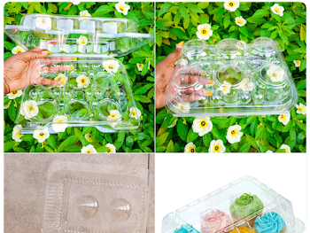6 CAVITY CUPCAKES BOX