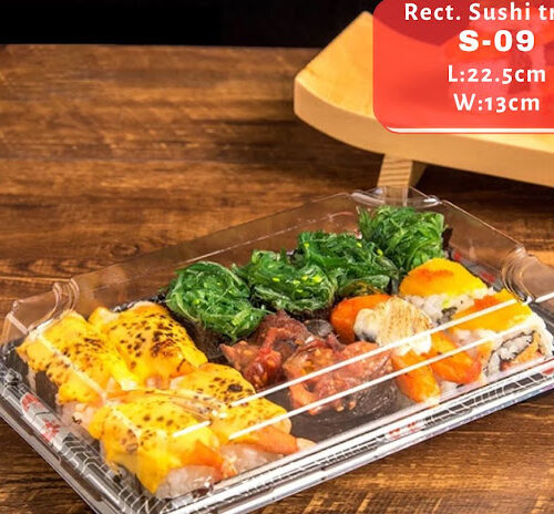 RECTANGULAR SUSHI TRAYS (S-09) (L:22.5cm x W:13cm)