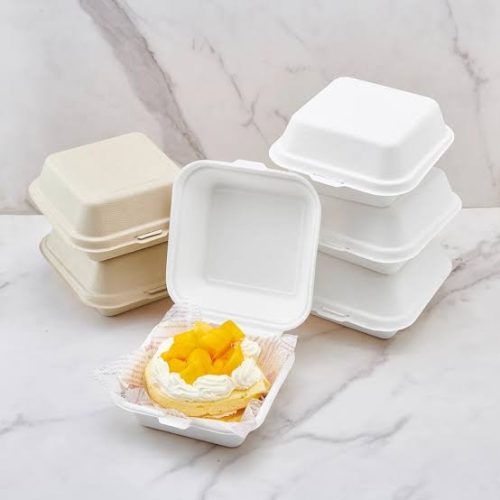 CAKE BENTO BOX - 10 pieces